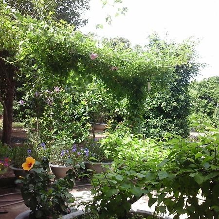 Long Chau Resort Xuyen Moc Экстерьер фото