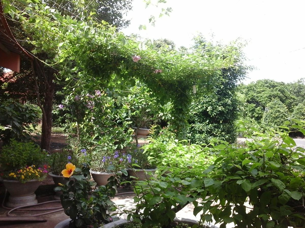 Long Chau Resort Xuyen Moc Экстерьер фото