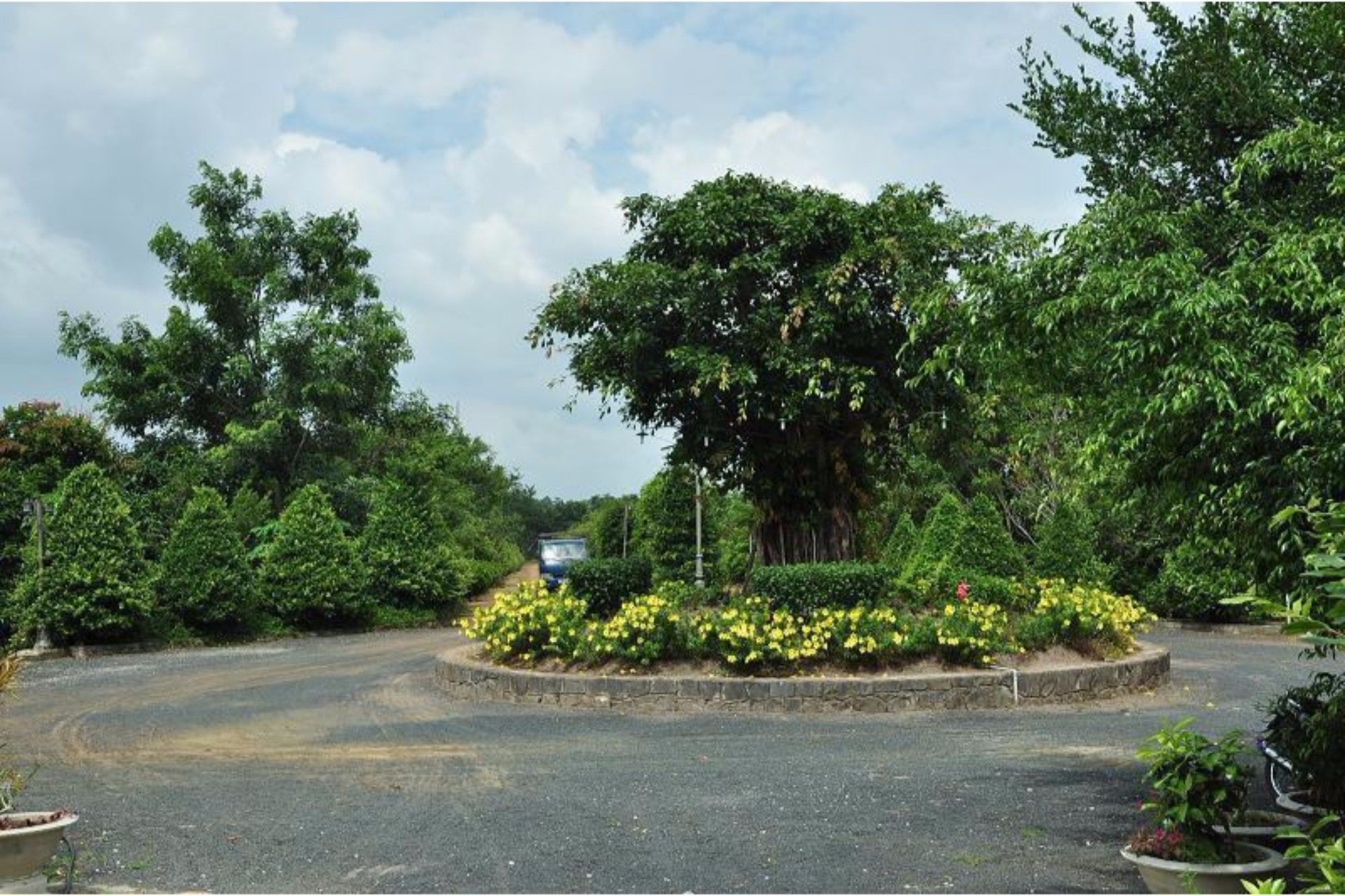 Long Chau Resort Xuyen Moc Экстерьер фото